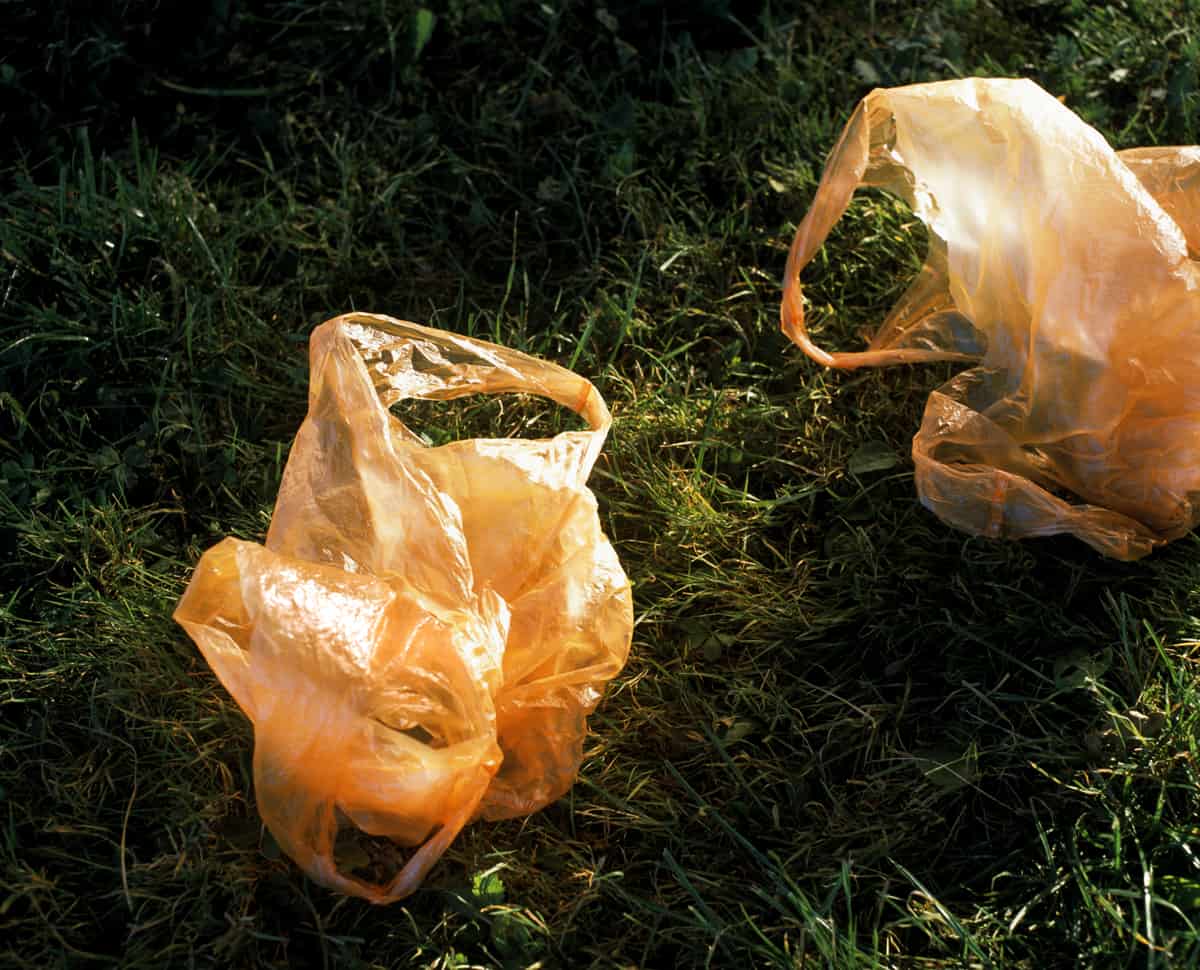 The Picnic Björn Siebert Fotografie Remakes